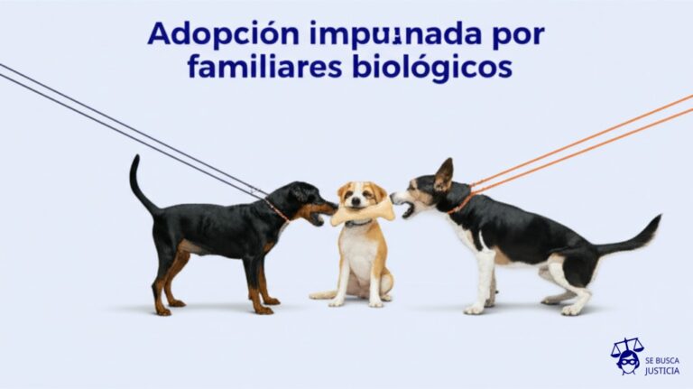 Un grupo de perros, cada uno con una correa, tirando en direcciones opuestas de un solo hueso. Representa: Adopción impugnada por familiares biológicos