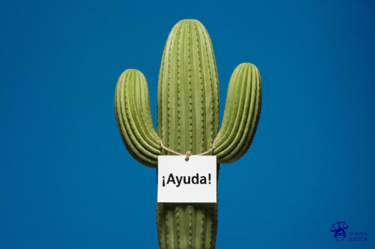 Un cactus, alto y robusto, con un cartel colgado que dice ¡Ayuda! Representa: Atención al cliente deficiente o inexistente