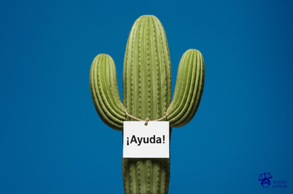 Un cactus, alto y robusto, con un cartel colgado que dice ¡Ayuda! Representa: Atención al cliente deficiente o inexistente