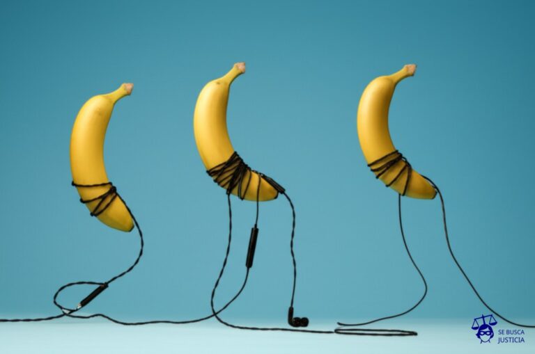 Un manojo de cables de auriculares enredados, cada uno conectado a un plátano. Representa: Confusión en la interpretación de términos técnicos