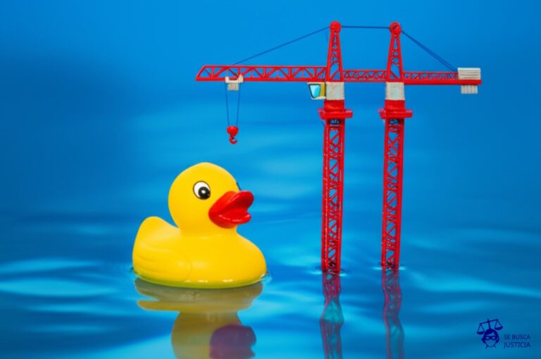 Un patito de goma flotando en un charco, con una grúa de juguete gigante encima. Representa: Construcción en zonas de humedales protegidos