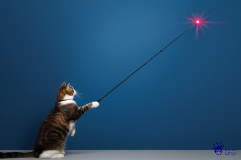 Un gato con una correa invisible, intentando atrapar un puntero láser que se proyecta en la pared, sin darse cuenta de que la correa lo limita y controla. Representa: Desconocimiento de derechos en teletrabajo