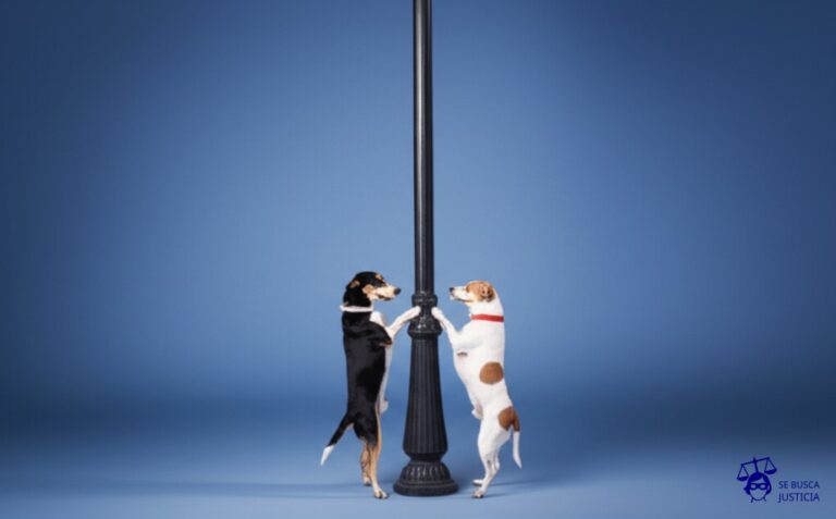 Dos perros idénticos, uno sobre otro, ambos intentando orinar en la misma farola. Representa: Disputa por el registro de una marca idéntica o similar en Argentina