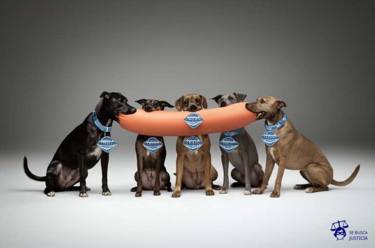 Un grupo de perros, cada uno con un collar idéntico con el logo de la misma franquicia, tirando en direcciones opuestas de una salchicha gigante. Representa: Disputas por franquicias comerciales
