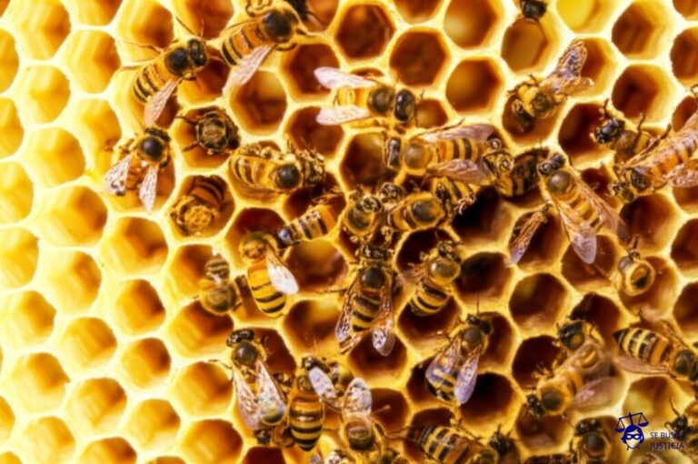 Un enjambre de abejas (representando usuarios) entrando y saliendo de una colmena gigante (la plataforma ilegal), cargando pequeñas celdas hexagonales llenas de miel (películas y series) que parecen estar a medio construir y con bordes irregulares. La colmena está ligeramente inclinada y a punto de desmoronarse. Representa: Distribución ilegal de películas o series a través de plataformas online en Argentina