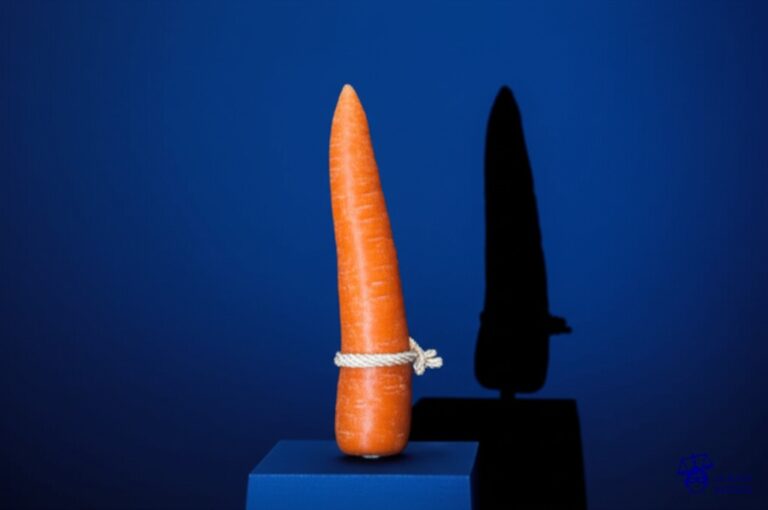 Un gran trozo de zanahoria, en un pedestal, con una soga alrededor del cuello y una sombra alargada que proyecta la silueta de una oreja de burro. Representa: El Juicio del Burro Condenado a Muerte (1457 Francia)