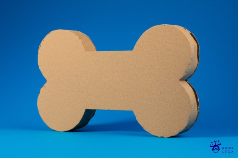 Un hueso para perro, hecho completamente de cartón. Representa: Falsas promesas de beneficios por fidelidad