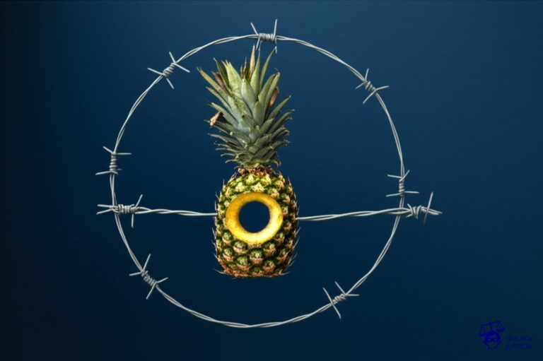 Una piña tropical con un agujero en el medio, rodeada de un círculo de alambre de espino. Representa: Problemas con exclusión de daños en zonas de riesgo