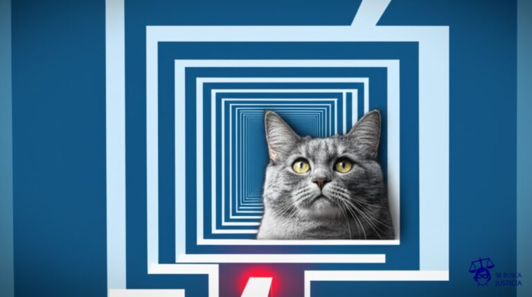 Un gato persiguiendo un puntero láser que se proyecta en la pared de un laberinto infinito. Representa: Problemas de jurisdicción para litigar infracciones de PI online desde Argentina