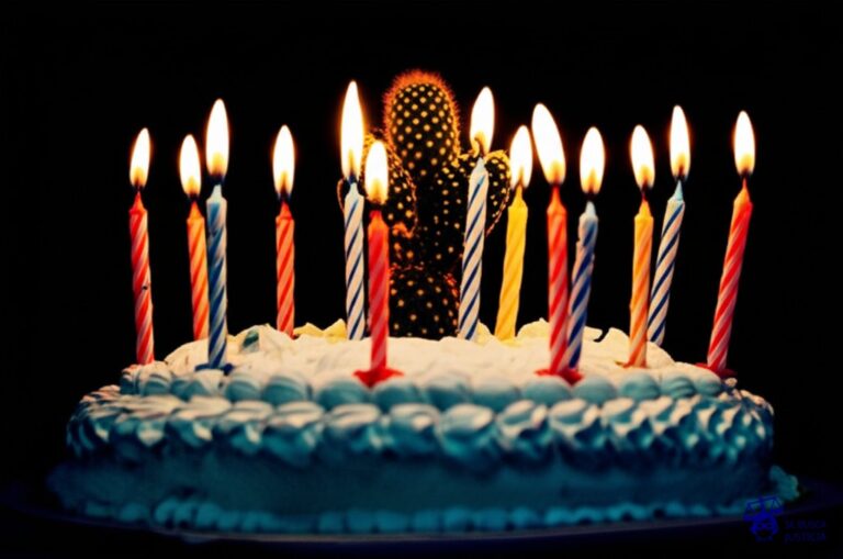 Un gran pastel de cumpleaños con muchas velas encendidas, pero en lugar de una figura en la cima, hay un cactus. Representa: Regina Jose Galindo ha realizado performances extremas que denuncian la violencia lo que ha provocado controversia