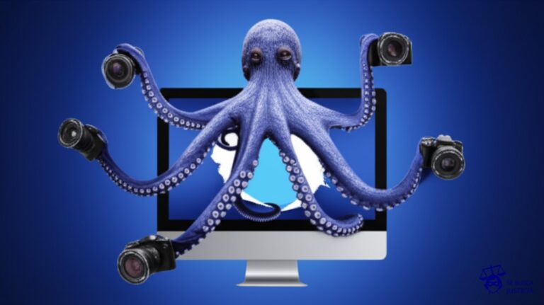Un pulpo con múltiples tentáculos, cada uno sosteniendo una cámara fotográfica, intentando desesperadamente cubrir un gran agujero en una pantalla de computadora. Representa: Uso indebido de obras fotográficas protegidas en medios digitales argentinos