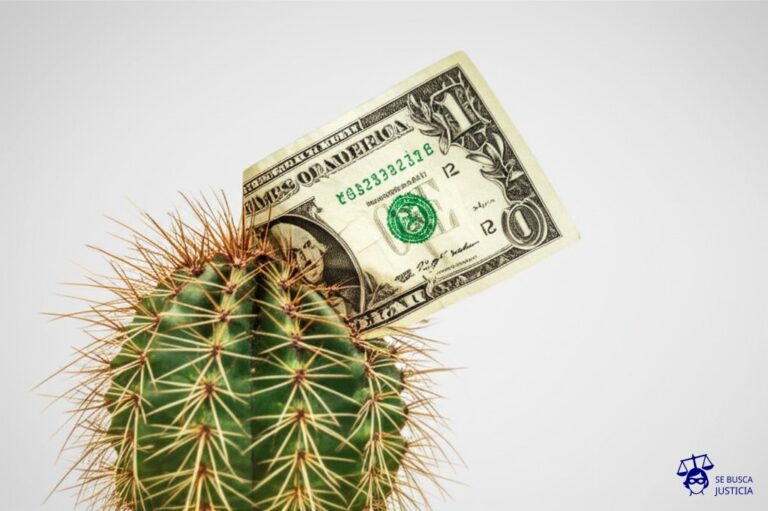 Un cactus marchito, con un billete de dólar seco clavado en una espina. Representa: El despido indirecto del trabajador por la falta de pago reiterada del salario, lo que genera una situación de incumplimiento grave por parte del empleador, habilitando al empleado a considerarse despedido y reclamar las indemnizaciones correspondientes por despido sin causa.